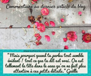 commentaire-blog