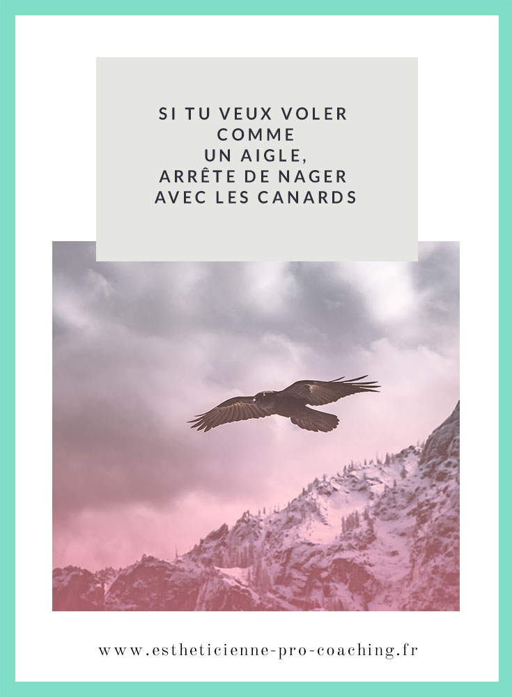 Si tu veux voler comme un Aigle, arrête de nager avec les canards